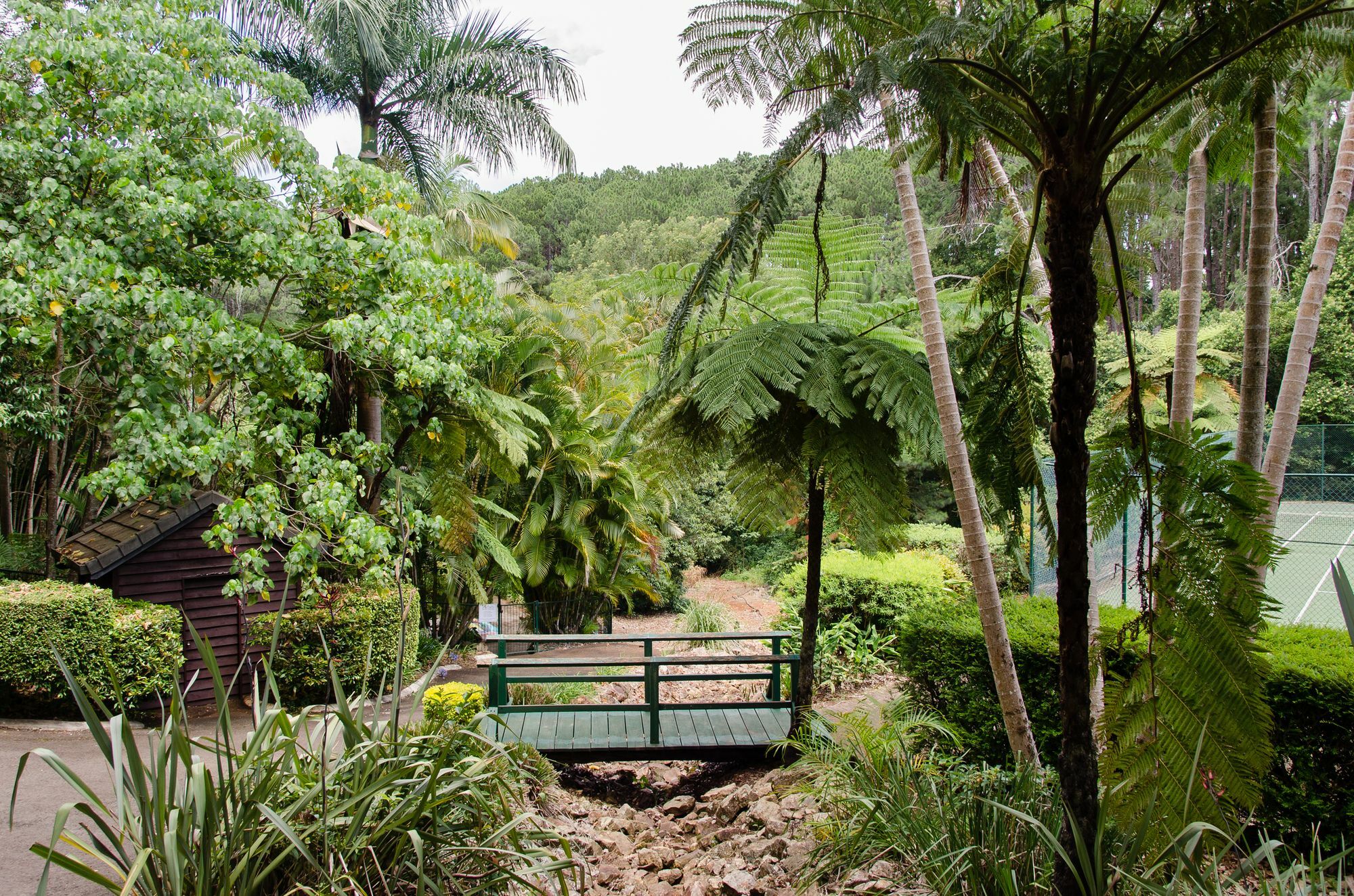 Montville Mountain Inn Dış mekan fotoğraf